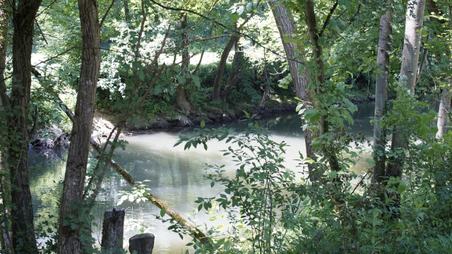 diesem Flüßchen stand das Wasser 2013 bis zur Grasnabe